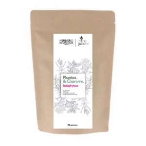 Tisane Plantes & Chanvre - Endophytose - 100g